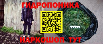 ГАЛЛЮЦИНОГЕННЫЕ ГРИБЫ Заводоуковск