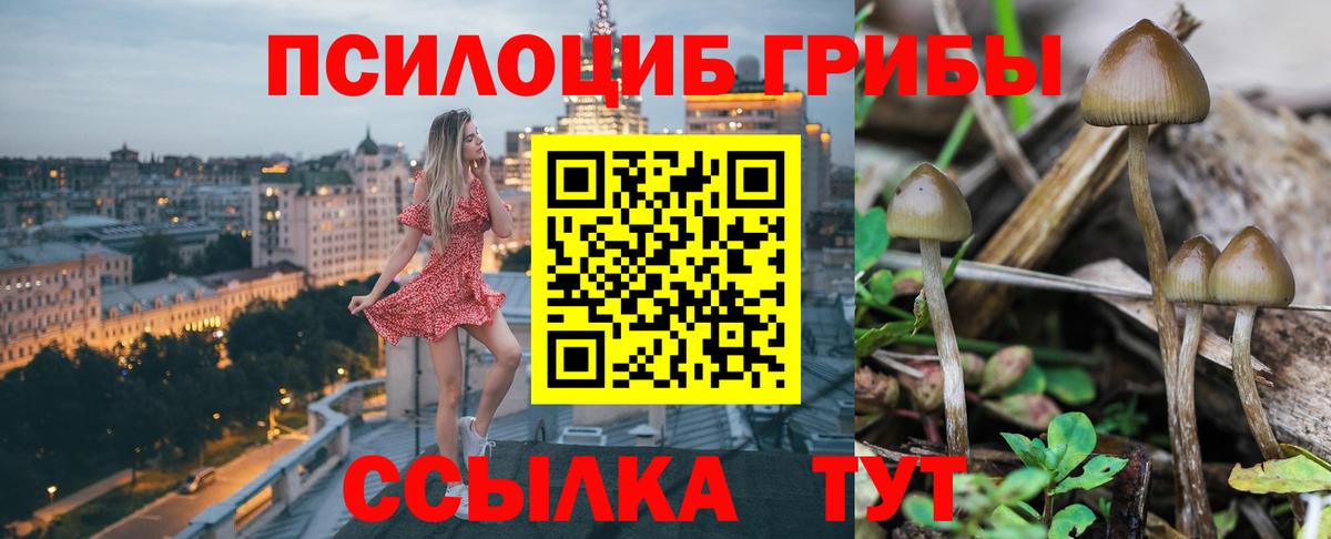 Галлюциногенные грибы прущие грибы  Вход с VPN  Кушва 