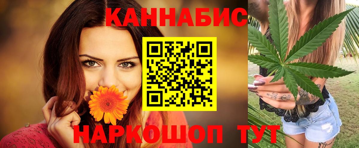 Конопля сатива Кушва